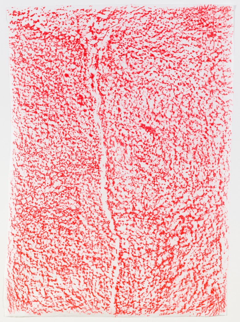 Jennifer Bornstein Floor Crack, 2014 Rubbing; Wax on paper. 26 x 37 1/4 inches. Courtesy of the artist and Gavin Brown’s enterprise.