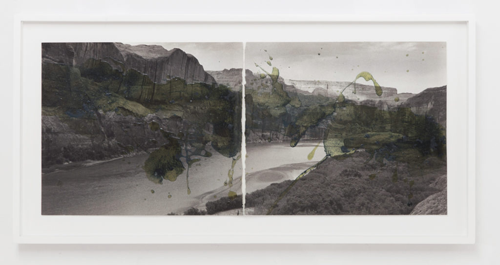 before the wake, spirulina, polyurethane, and images ripped from a photographic catalog, 21 x 9 inches. Courtesy of the artist and Callicoon Fine Arts, NY. 